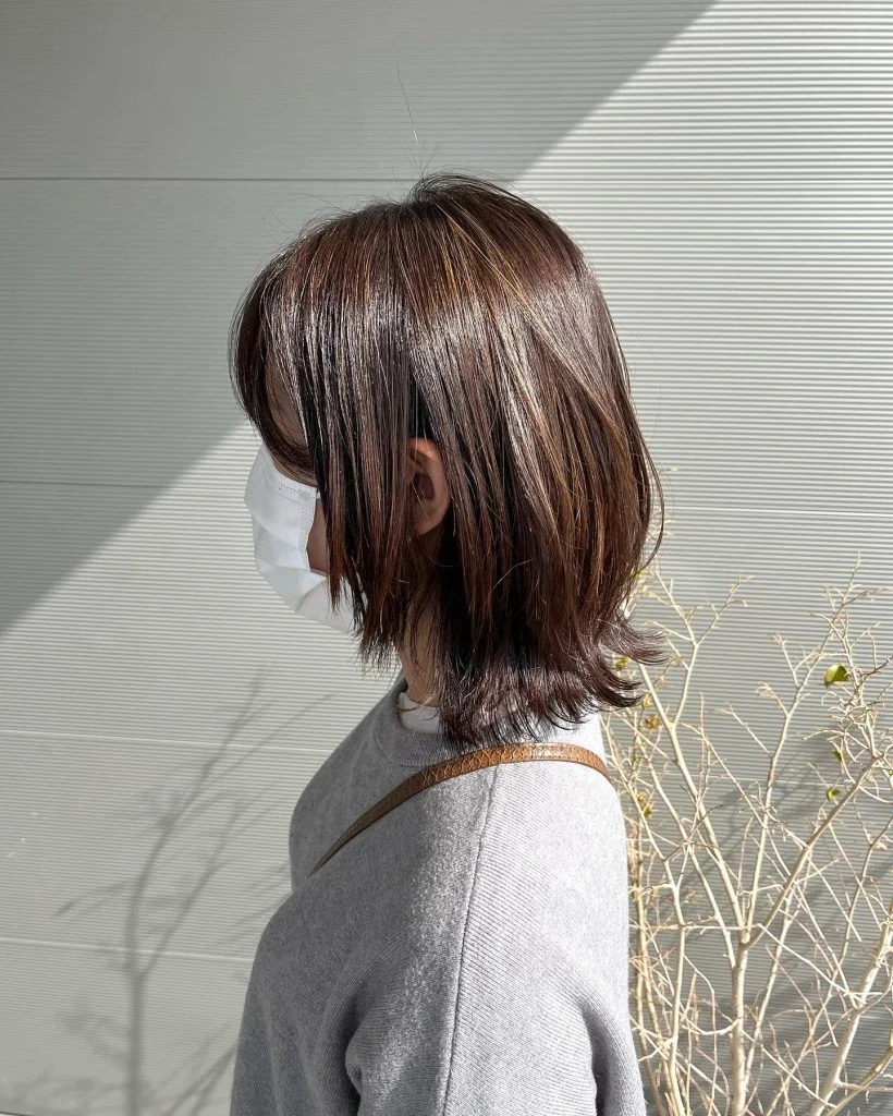 medium wolf ✂︎